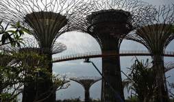 Crean un paraíso verde en Singapur