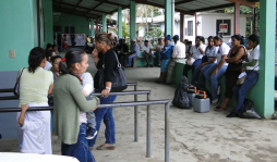 Alarma por aumento de casos de leishmaniasis en Yoro