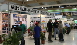 Autoridades deben fortalecer sistema de alerta temprana en San Pedro Sula