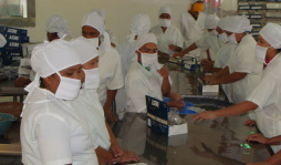 TSC investiga a camaroneras