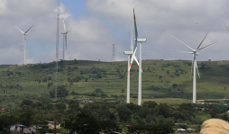 Enee ha pagado L11 mil millones a privados