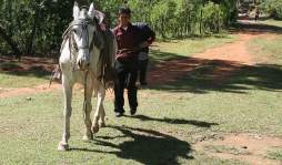 Jesús Vásquez, maestro del año en Honduras viaja 5 horas a caballo