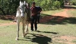 Jesús Vásquez, maestro del año en Honduras viaja 5 horas a caballo