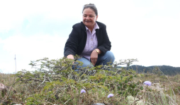 Piden al Gobierno proteger los bosques enanos de La Esperanza
