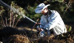 El Pelón, la zona más fría de Honduras