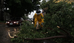 Alerta amarilla en Cortés y calles intransitables por lluvias