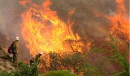 En alerta ante posibles incendios forestales