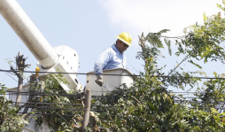 Deuda de L 2,400 millones tiene Enee con empresas térmicas