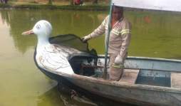 Sismo se traga un lago