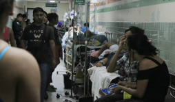 Próximos meses serán críticos para el dengue