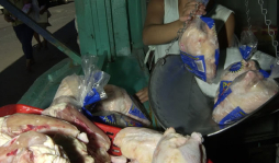 Hasta L3 subirá la libra de pollo