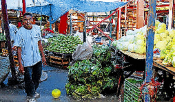 Operativo Verano Seguro inicia hoy