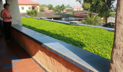 Techos verdes echan raíces en la construcción moderna