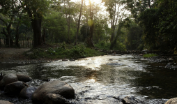 Reformarán decreto para proteger El Merendón