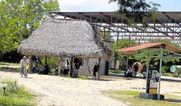 Ambiente de guerra agobia a pobladores del Aguán