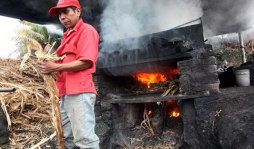 Batido, dulce tradición que genera cientos de empleos