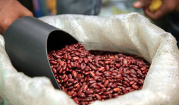 Garantizan abastecimiento de granos