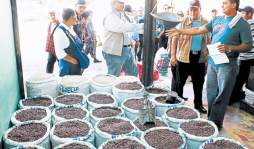 A ignorancia del TSC atribuyen el 'frijolazo”