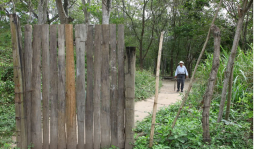 Parque Currusté y Jucutuma están condenados al abandono
