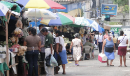 A cuentagotas avanza desarrollo económico en Santa Bárbara
