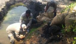 Sismo se traga un lago