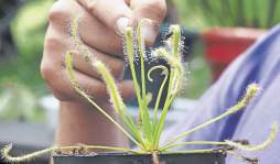 Asista bajo su propio riesgo