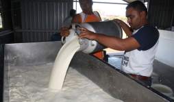 Sin exoneraciones, alimentos serían gravados con el 12%