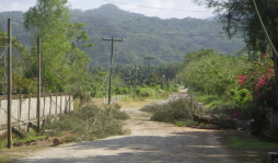 Vecinos cortan árbol y dejan sin energía a Tela y alrededores