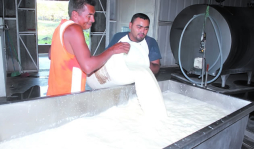Aumento de leche a industriales aplicado desde mañana