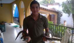 Tiene 30 serpientes que conviven con su familia