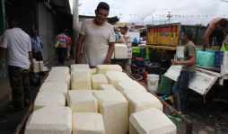 Honduras niega restricción para quesos de Nicaragua