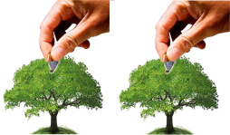 Chinos comprarán bonos de carbono en Honduras