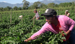 Piden no derrochar dinero de los bonos