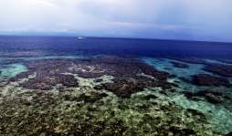 Utila, el paraíso de los buceadores