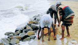 En el litoral se preparan ante embates de Ernesto