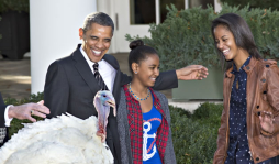 Obama indulta a pavos por Día de Acción de Gracias