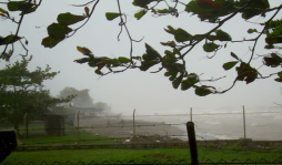 Fuertes vientos y lluvias dejan daños en varios sectores de La Ceiba