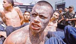 En San Pedro Sula está el 60% de pandilleros de Honduras