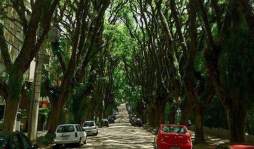 La calle más hermosa del mundo está en Brasil