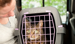 Transporte a su mascota de manera segura
