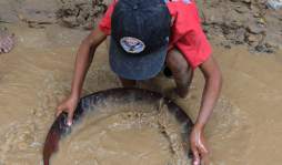 Sobreviven de los residuos del oro