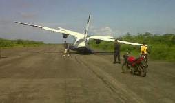 Avión se accidenta al impactar contra vaca