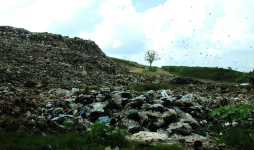 Estancado está proyecto de relleno sanitario para el Valle de Sula