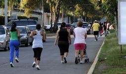 Piden que bulevar sea paseo de caminantes