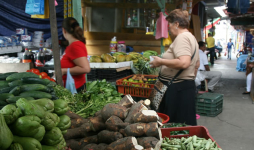 Feria del consumidor será hoy en la Fesitranh