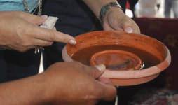 Analizan alerta verde por dengue