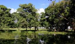 Convierte contenedores en cómodas viviendas