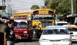 Ampliarán dos años veda al transporte