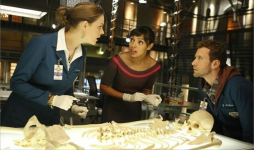 Viajando a lo prohibido