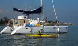 Nada desde Cuba a EUA sin jaula antitiburones